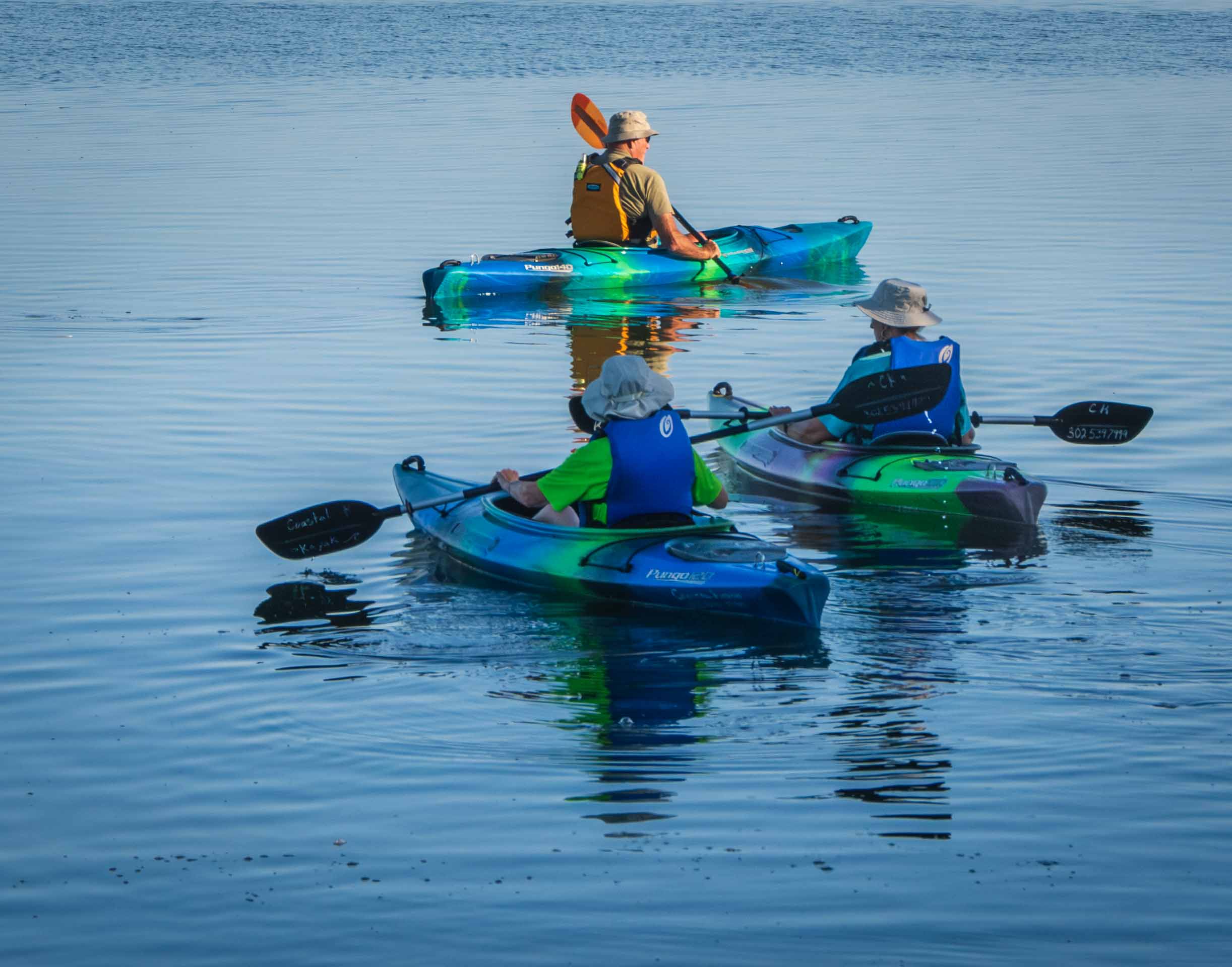 Yrs_2015-2019_CCC_IMG_006710_ - Wildlife Kayak Outing at Burton's Island.jpg